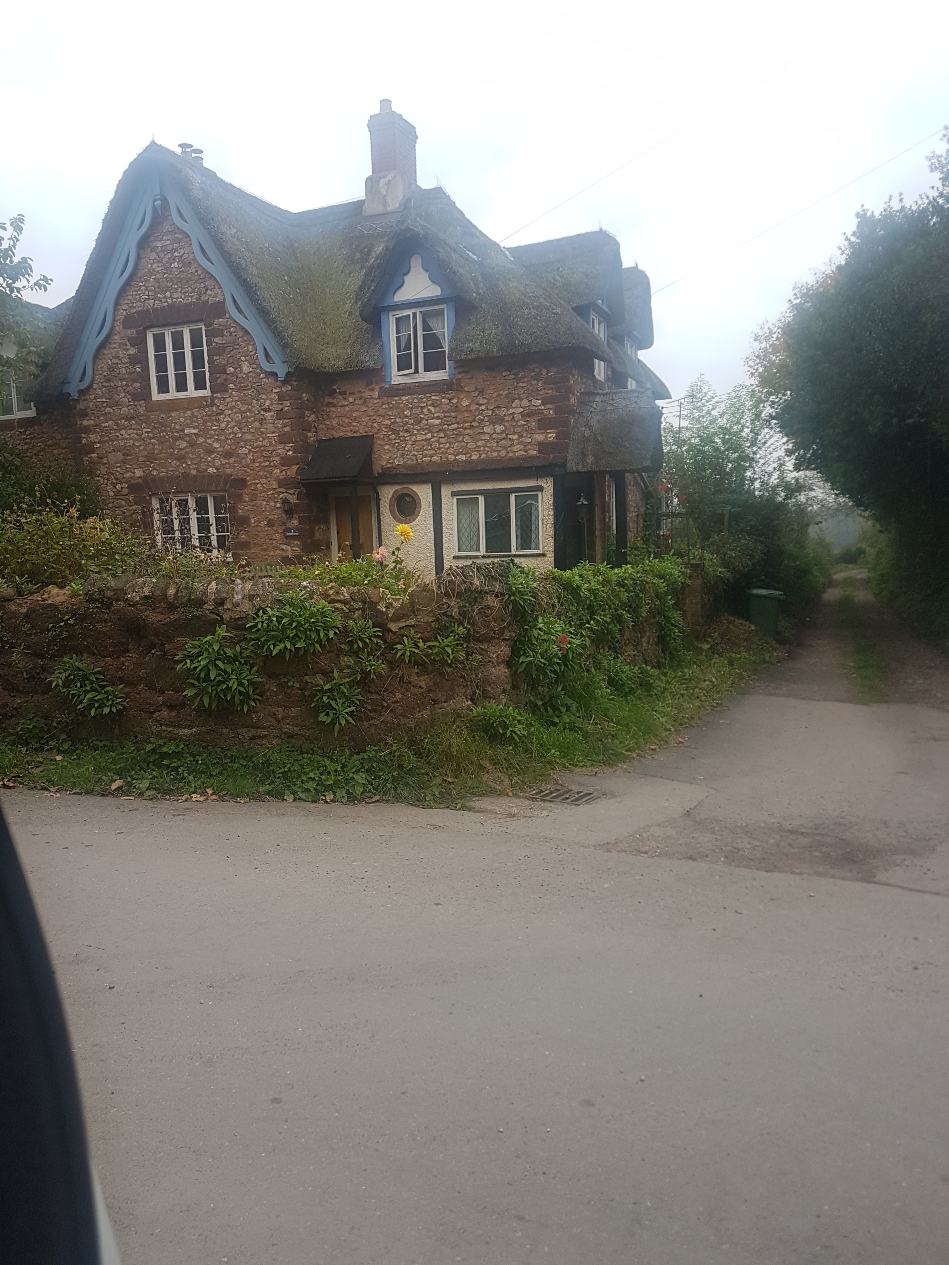 Chimney sweeping Thatch properties Hodgsons Chimney Sweeps