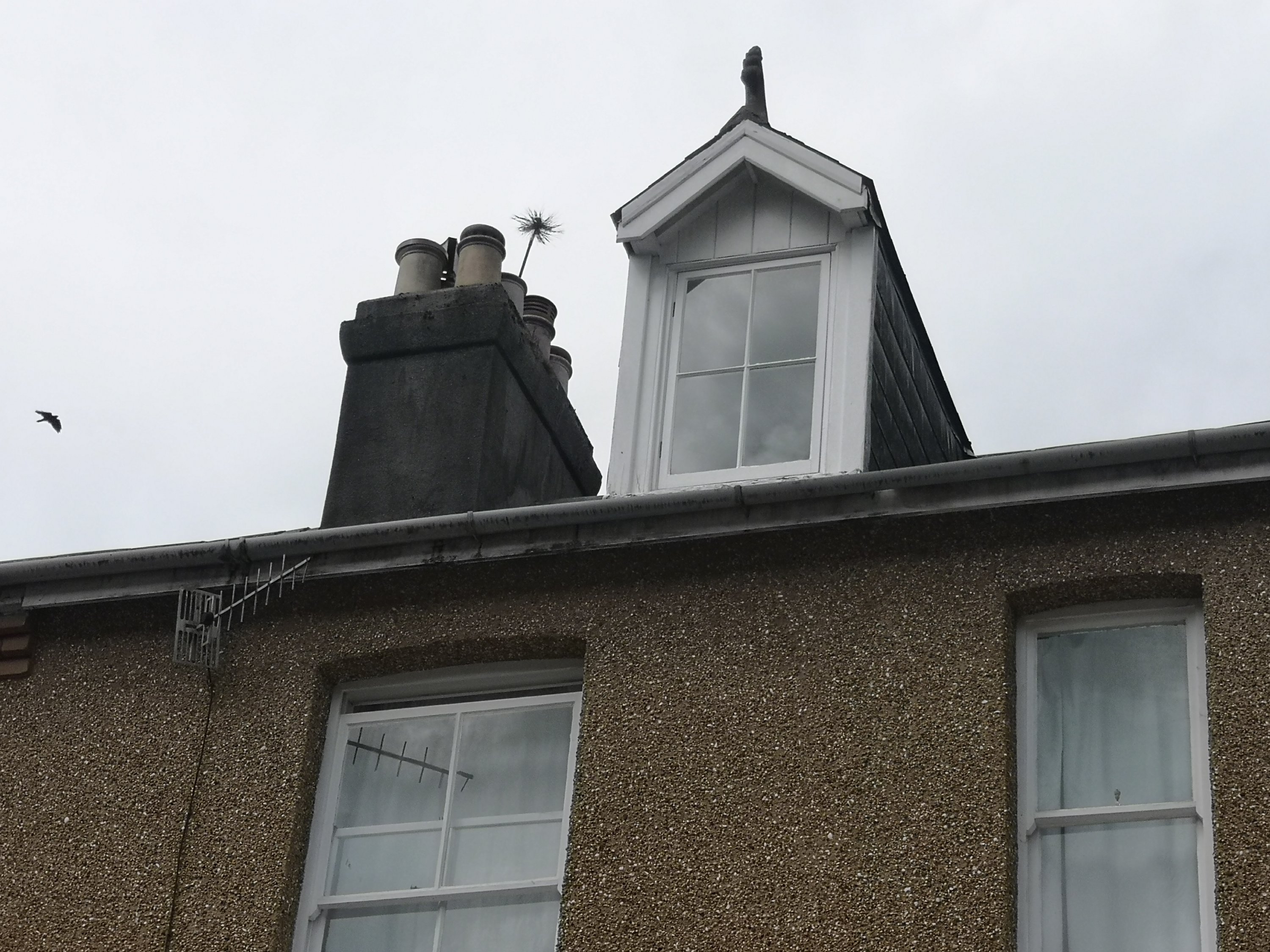 Hodgsons Chimney Sweeps, Chimney Sweeping and Smoke Testing an open fire in Teignmouth