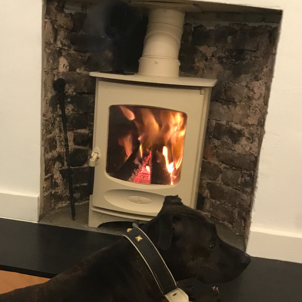 We practice what we preach. Our lovely Charnwood woodburner